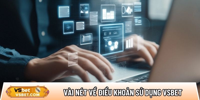 Giới thiệu vài nét về điều khoản sử dụng Vsbet